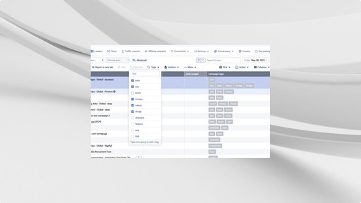 Voluum Organization Mastery: Advanced Tagging System for Streamlined Entity Management